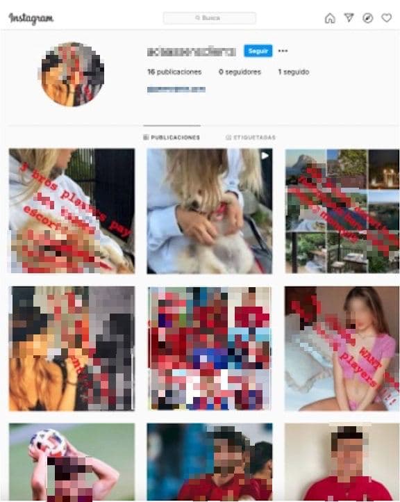 IDN.tt – Identificamos la suplantación digital y la eliminación de perfiles falsos en las redes